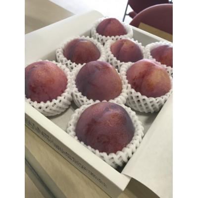 ふるさと納税 中央市 貴陽(すもも)約1.5kg(8〜9玉)