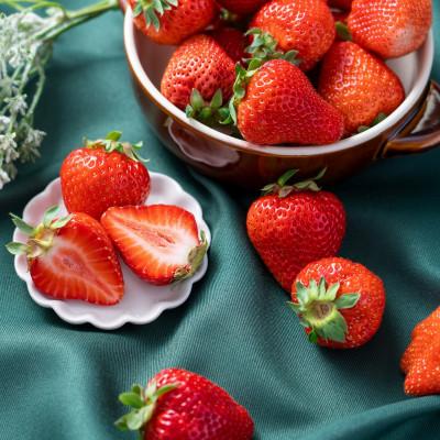 ふるさと納税 朝倉市 [2026年発送先行受付]フルーツソムリエが選んだ[春]あまおうDX(デラックス)4パック(朝倉市)