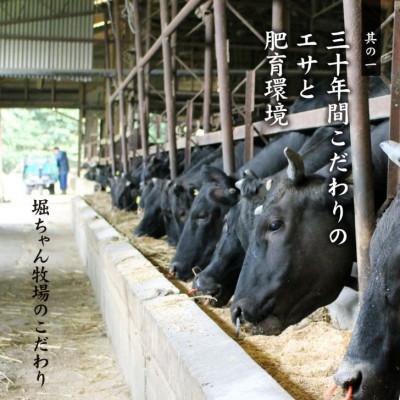 ふるさと納税 福岡市 博多和牛 もつ鍋仕かける(醤油味) BL01