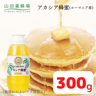 ふるさと納税 津山市 ルーマニア産アカシア蜂蜜300g(12025)