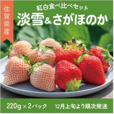 ふるさと納税 佐賀市 佐賀県産いちご さがほのか&amp;淡雪 紅白セット