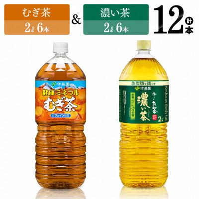 ふるさと納税 川南町 伊藤園ミネラルむぎ茶2L(6本)+伊藤園お〜いお茶濃い茶2L(6本)(川南町)