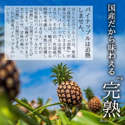 沖縄県石垣島ピーチ50本バレル1本