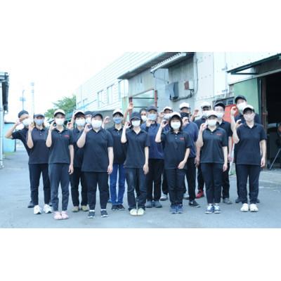 ふるさと納税 小山市 APHRODITA 寧々 掛け布団 シングルロング|y-sf|04