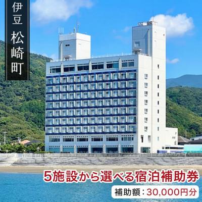 ふるさと納税 松崎町 松崎町温泉旅館組合宿泊感謝補助券ハ 30,000円分