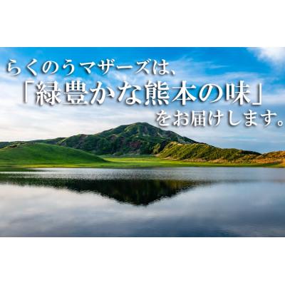 ふるさと納税 菊池市 特濃 4.3 牛乳 1L×6本 紙パック｜y-sf｜04