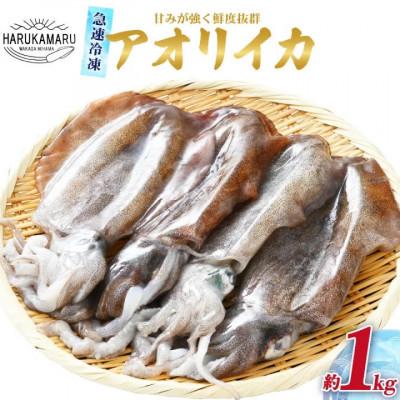 ふるさと納税 美浜町 [活〆!スミ抜き済!解凍後も半透明!鮮度抜群]瞬間冷凍したお刺身で食べるアオリイカ約1kg