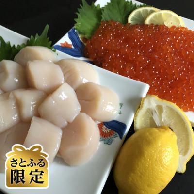 ふるさと納税 北見市 [さとふる限定]2代目漁師の特製いくら醤油漬け400g、刺身帆立600gセット