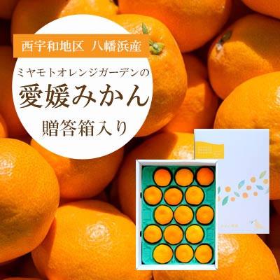 ふるさと納税 八幡浜市 西宇和地区八幡浜産 愛媛みかん 贈答用 15個入り[C25-97]