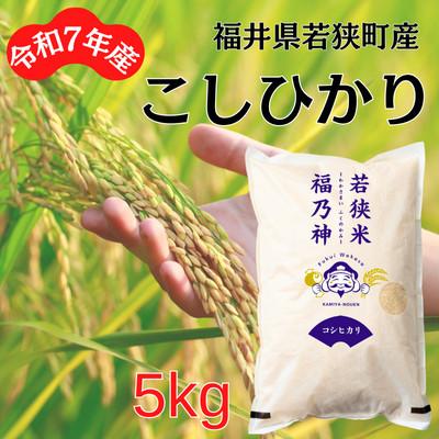 ふるさと納税 若狭町 [令和7年産]福井県若狭町コシヒカリ(1等米/精米) 5kg
