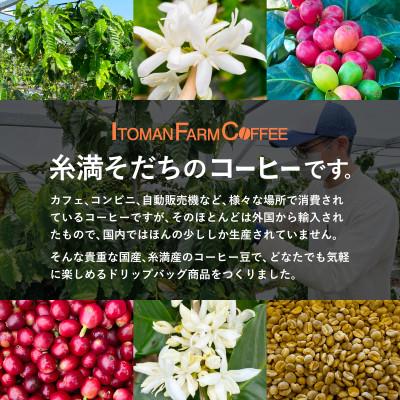 ふるさと納税 糸満市 【沖縄県産100%】　糸満ファームコーヒー　ドリップバッグ10袋セット 