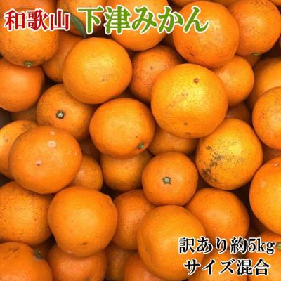 ふるさと納税 古座川町 [訳あり]和歌山下津みかん約5kgご家庭用向け(サイズ混合)(古座川町)