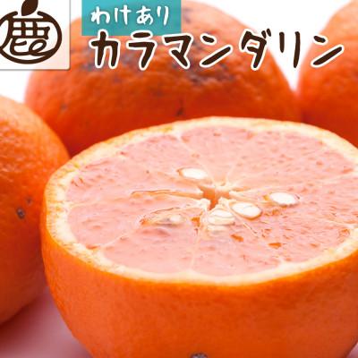 ふるさと納税 和歌山市 家庭用 カラマンダリン2.5kg+250g(傷み補償分)[南津海・なつみ][希少な春柑橘][訳あり]