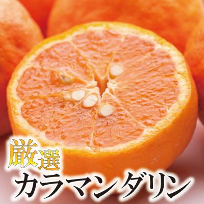 ふるさと納税 由良町 [4月より発送]厳選 カラマンダリン3kg+90g(傷み補償分)[南津海・なつみ][希少な春柑橘]