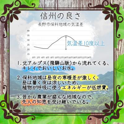 ふるさと納税 長野市 【信州長野県川中島産】※2024年先行受付※ 川中島白桃5〜6玉 ギフトボックス｜y-sf｜04