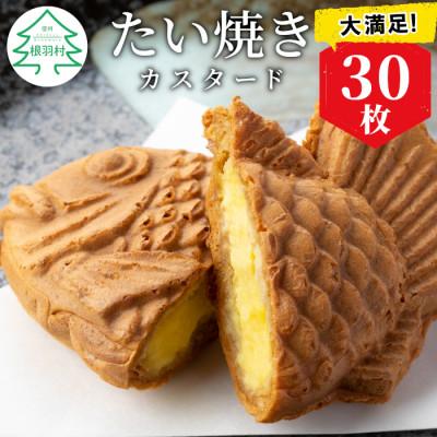 ふるさと納税 根羽村 大満足30枚!たい焼き カスタード
