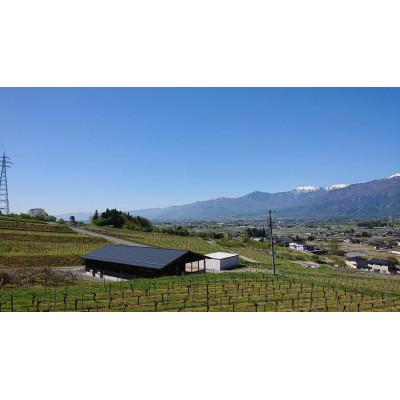 ふるさと納税 池田町 ドメーヌ・ヒロキ　シャルドネ　ヴェニュスとメルロー　ジュピター　白ワイン赤ワインセット 