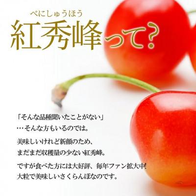 ふるさと納税 山形県 さくらんぼ 紅秀峰 2L玉以上 500g×1パック ギフト箱入り 山形県産 【令和6年産 先行受付】｜y-sf｜02