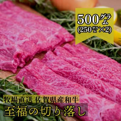 ふるさと納税 佐賀市 [牧場直送]佐賀産和牛 至福のきりおとし 500g