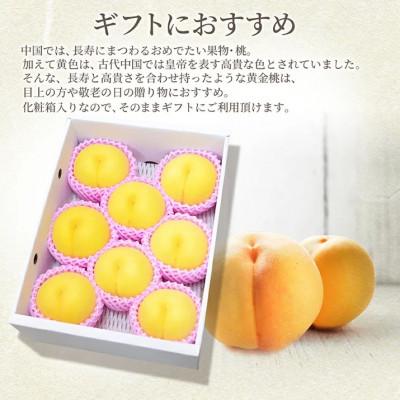 ふるさと納税 山形県 黄桃 3kg 8〜12玉前後 秀品 ギフト用 大玉 品種おまかせ 山形県産 【令和8年産 先行予約】の画像
