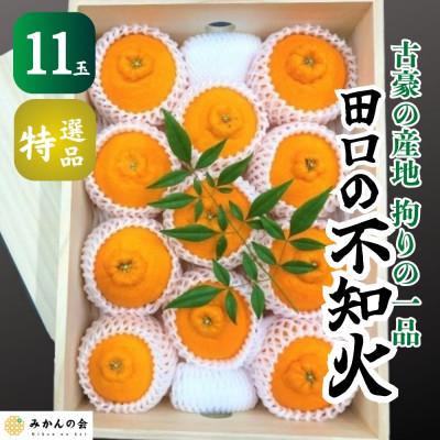 ふるさと納税 有田川町 田口の不知火 11玉 贈答用 古豪の産地 木箱入 特選品 産地直送 和歌山県産