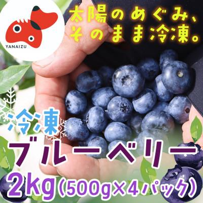 ふるさと納税 柳津町 [摘みたて冷凍]自然の中で育った冷凍ブルーベリー(500g×4パック)