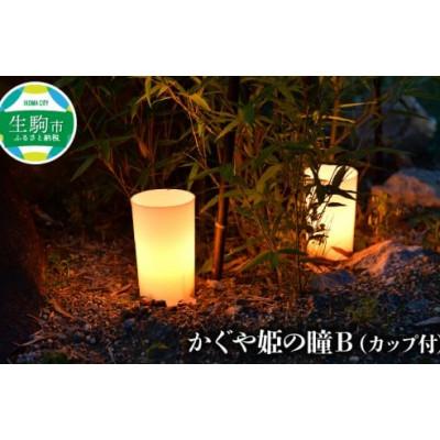 ふるさと納税 生駒市 かぐや姫の瞳B(カップ付き)×1個