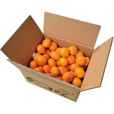 ふるさと納税 有田市 伊藤農園の有田みかん『風のしるし』(10kg) |  | 02