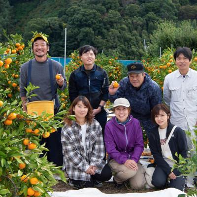 ふるさと納税 海南市 【11月〜1月発送】早生みかん10kg　ご家庭用混合サイズ【訳あり】和歌山県下津町まごころ産直みかん｜y-sf｜04