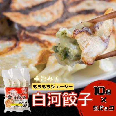 ふるさと納税 矢吹町 こだわりの原材料と地場野菜のモチモチジューシーな白河餃子10個入り×5袋セット[岡崎農園の定番製品]