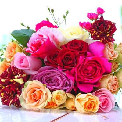 ふるさと納税 杵築市 <全品種が食用利用可能>天使のバラ花束MIXカラー(丈〜35cm/数20本程度)