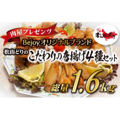 ふるさと納税 伊予市 [Bejoyオリジナルブランド]松山どりのこだわりの唐揚げ4種セット