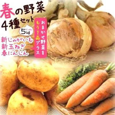 ふるさと納税 雲仙市 [春の新野菜セット]「新じゃがいも・新玉ねぎ・春人参」+旬野菜1品セット 約5kg