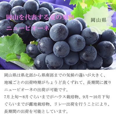 新作の予約販売も。 ふるさと納税 津山市 【2024年8月下旬より発送】岡山県産　ニューピオーネ　1.5kg(3房〜6房)