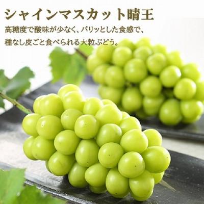 ふるさと納税 浅口市 【2026年8月下旬より順次送りとどける】岡山県産 シャインマスカット晴王・ニューピオーネ 3L大きさ詰合せ