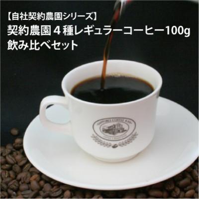 ふるさと納税 江別市 契約農園4種レギュラーコーヒー100g飲み比べセット 〜粉〜