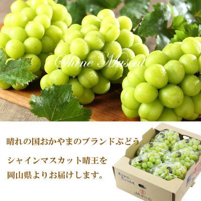 ふるさと納税 津山市 【2026年7月中旬より順次送りとどける】岡山県産 シャインマスカット 晴王 4kg(5房〜10房)