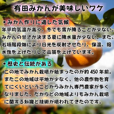 ふるさと納税 和歌山市 高級みかん秀品「田村みかん」5kg【2026年11月以降発送分】 |  | 02