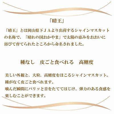 公式新製品 ふるさと納税 岡山市 【2024年8月下旬より発送】岡山県産　シャインマスカット　晴王　400g×2房