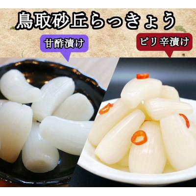 ふるさと納税 稲沢市 ふぞろいらっきょう甘酢/ピリ辛漬け 詰め合わせ 190g×6袋