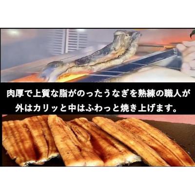 スストア ふるさと納税 伊勢崎市 赤城山麓上州うなぎ　白焼&蒲焼セット　各1尾　(1尾150g以上)