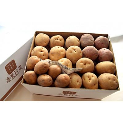 ふるさと納税 江別市 じゃがいも4種類食べ比べセット 5kg [2025年10月より順次発送]