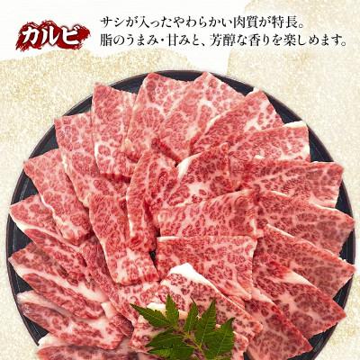 ふるさと納税 宮崎市 史上初内閣総理大臣賞4連覇*宮崎牛カルビ 焼肉・バーベキュー用 合計1kg(500g×2)(宮崎市) 宮崎市