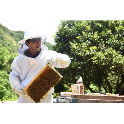 ふるさと納税 下田市 伊豆下田高橋養蜂の蜂蜜2種詰め合わせセット(600g×2本)の画像
