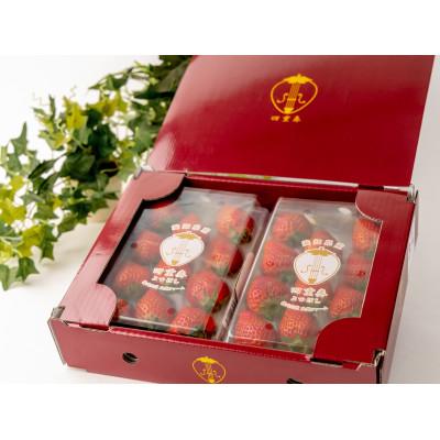 ふるさと納税 みよし市 [産直]完熟よつぼし『四重奏』 愛知県みよし市 4パック(約1kg)