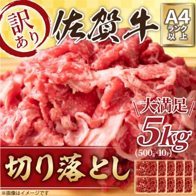 ふるさと納税 唐津市 訳アリ![A4〜A5]佐賀牛切り落とし 5kg(500g×10パック)(唐津市)