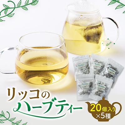 ふるさと納税 南知多町 リッコのハーブティー5点セット