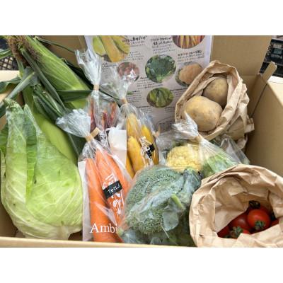 ふるさと納税 江別市 北海道江別産　季節の彩り野菜セット　M|Ambitious Farm_1