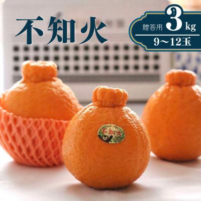 ふるさと納税 宇城市 先行予約[雑誌「MORE」掲載品]松川果樹園の不知火3kg(9〜12玉程度)デコポン・不知火発祥地産