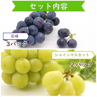 ふるさと納税 時津町 完熟巨峰・シャインマスカット食べ比べ 5パック